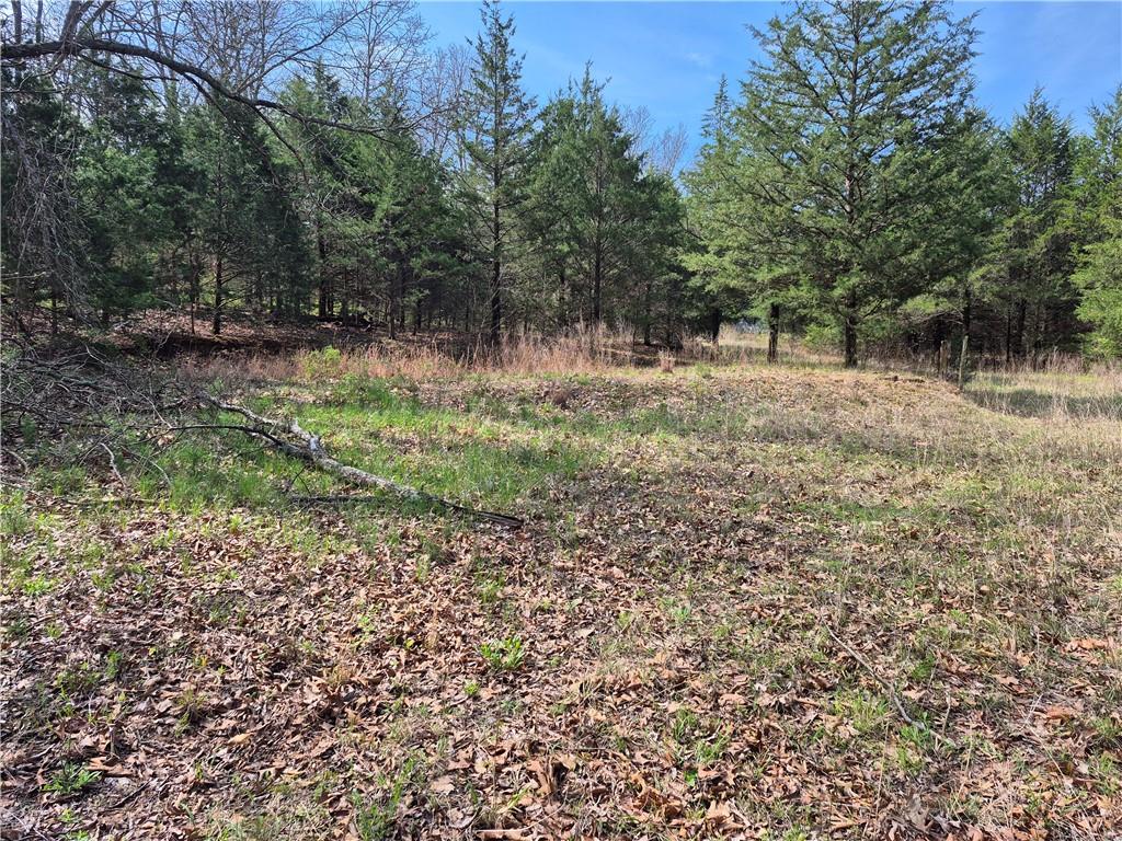 7905 Southeast 375 Road Collins, MO 64738 - Photo 18 of 30