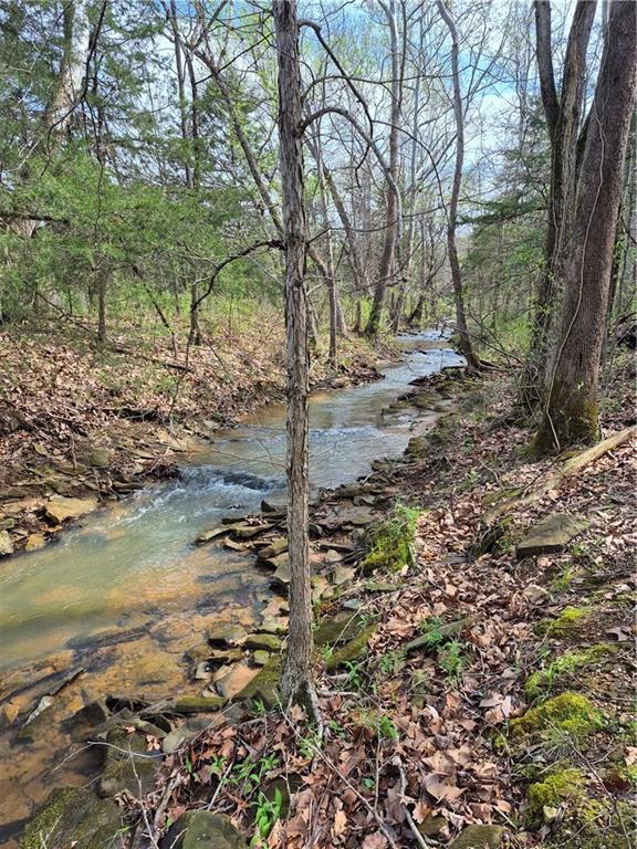 7905 Southeast 375 Road Collins, MO 64738 - Photo 19 of 30