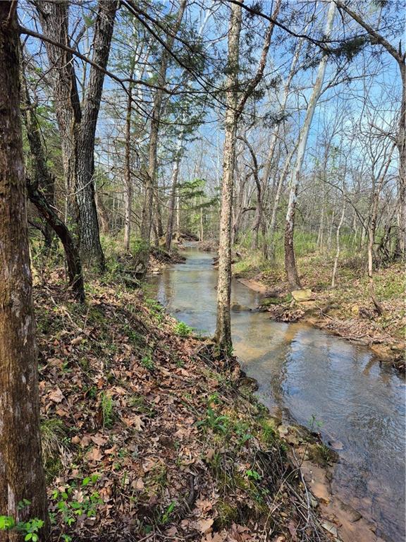 7905 Southeast 375 Road Collins, MO 64738 - Photo 20 of 30