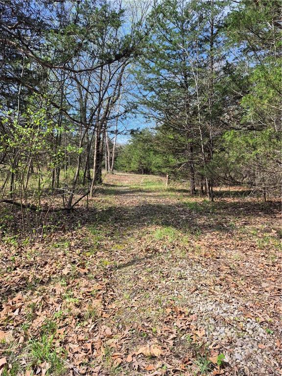 7905 Southeast 375 Road Collins, MO 64738 - Photo 2 of 30