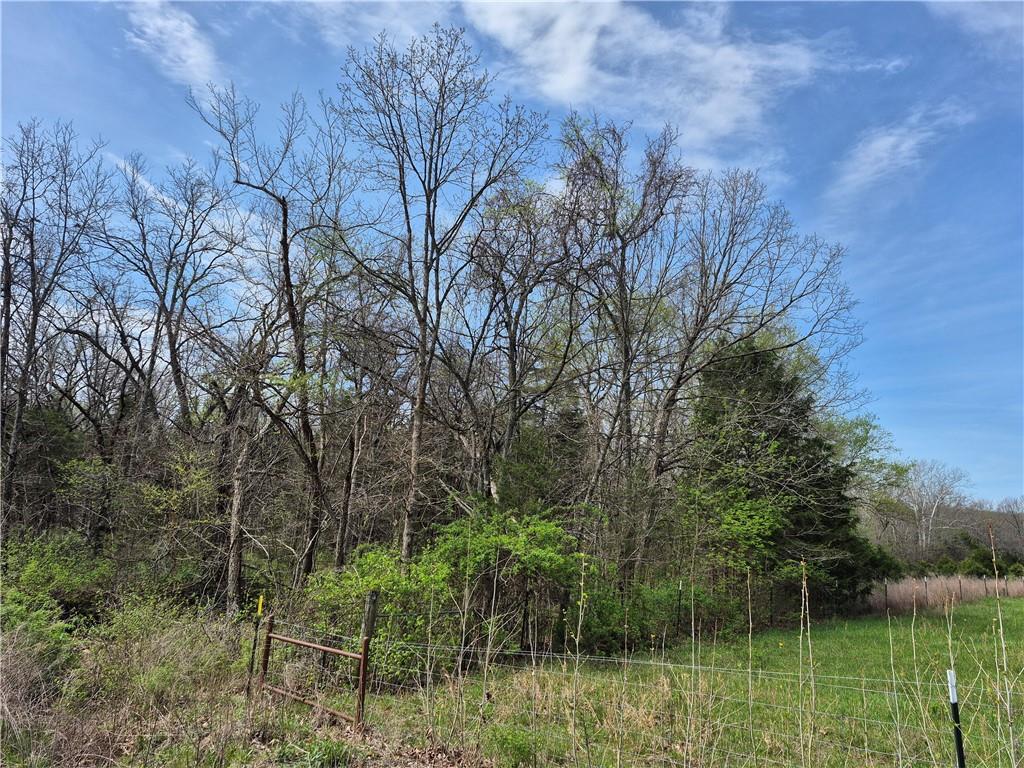 7905 Southeast 375 Road Collins, MO 64738 - Photo 22 of 30