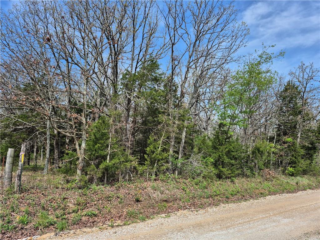 7905 Southeast 375 Road Collins, MO 64738 - Photo 23 of 30