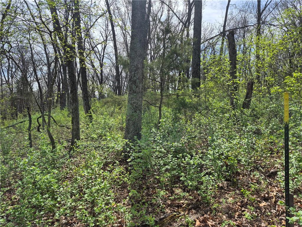 7905 Southeast 375 Road Collins, MO 64738 - Photo 27 of 30