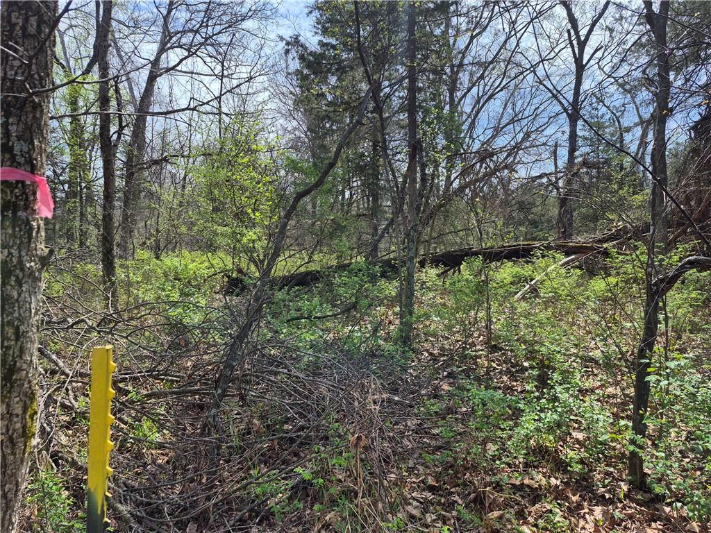 7905 Southeast 375 Road Collins, MO 64738 - Photo 29 of 30