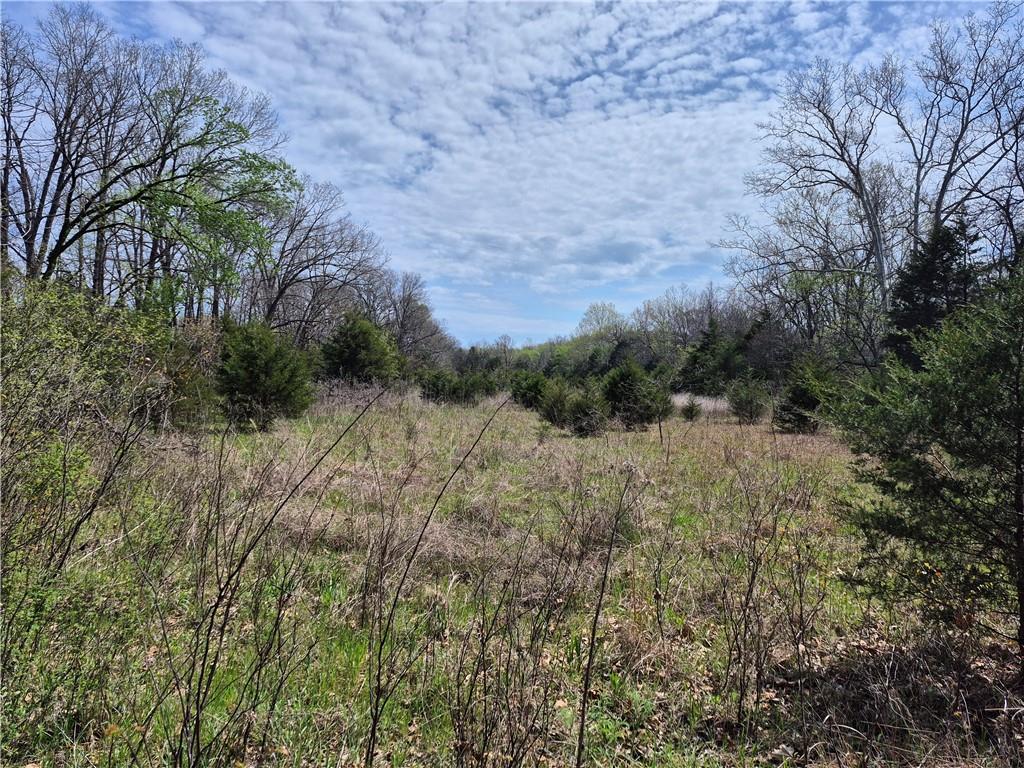 7905 Southeast 375 Road Collins, MO 64738 - Photo 30 of 30