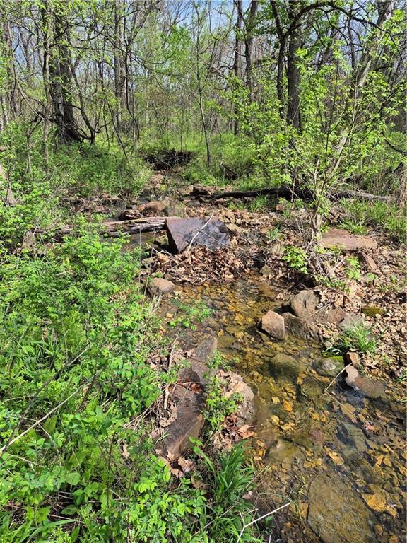 7905 Southeast 375 Road Collins, MO 64738 - Photo 3 of 30