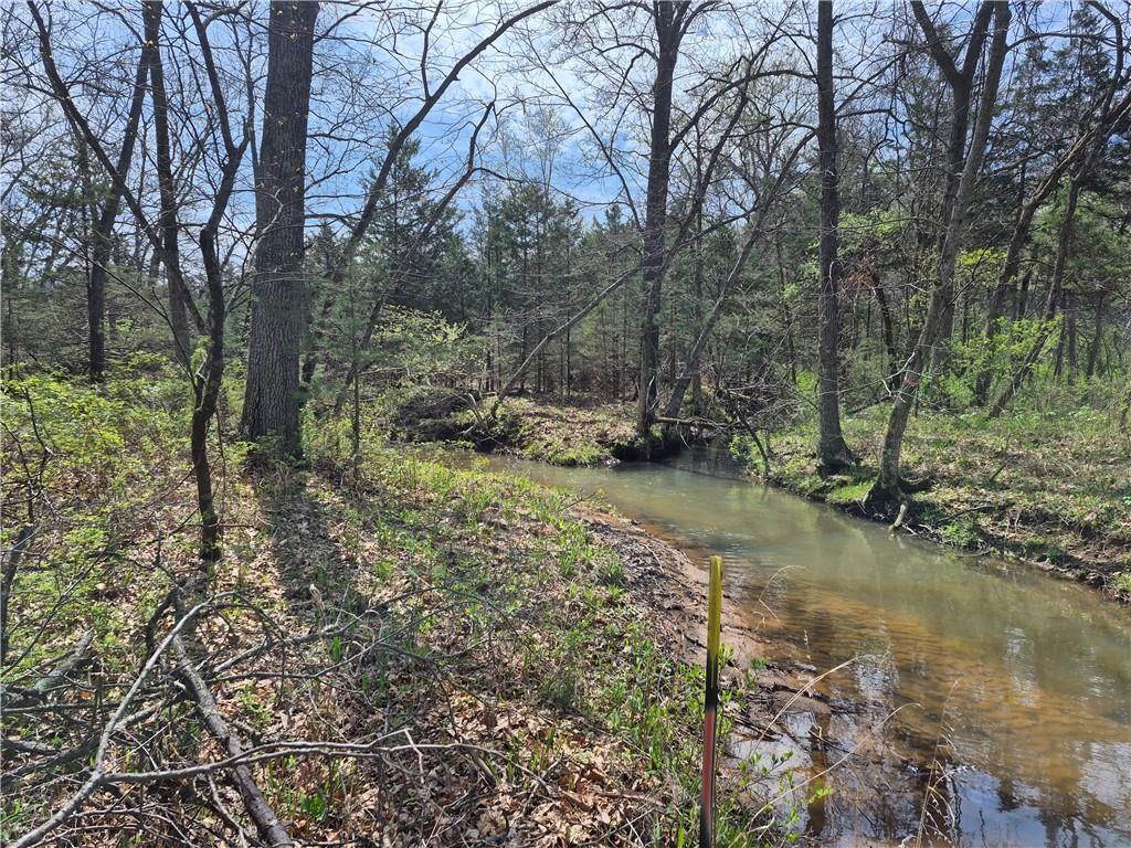 7905 Southeast 375 Road Collins, MO 64738 - Photo 4 of 30