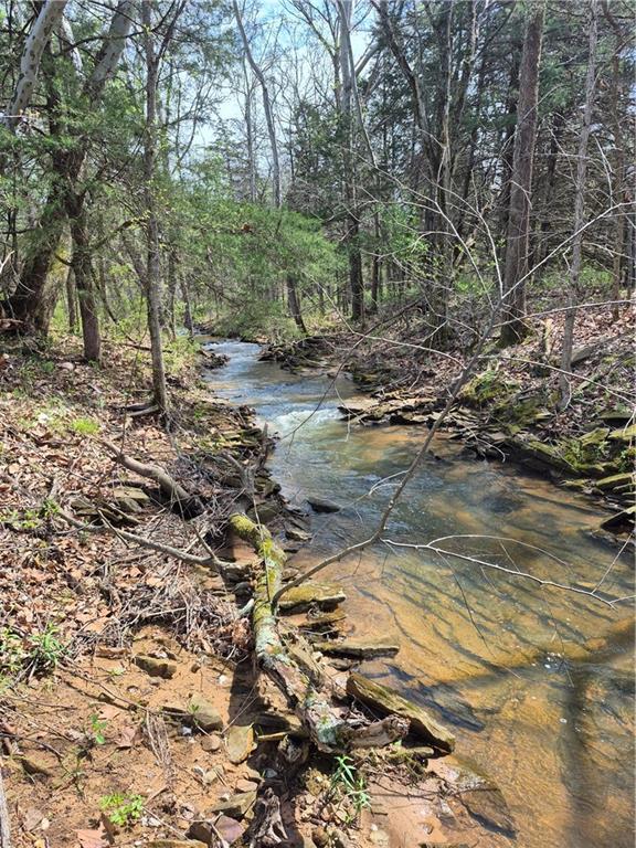 7905 Southeast 375 Road Collins, MO 64738 - Photo 6 of 30