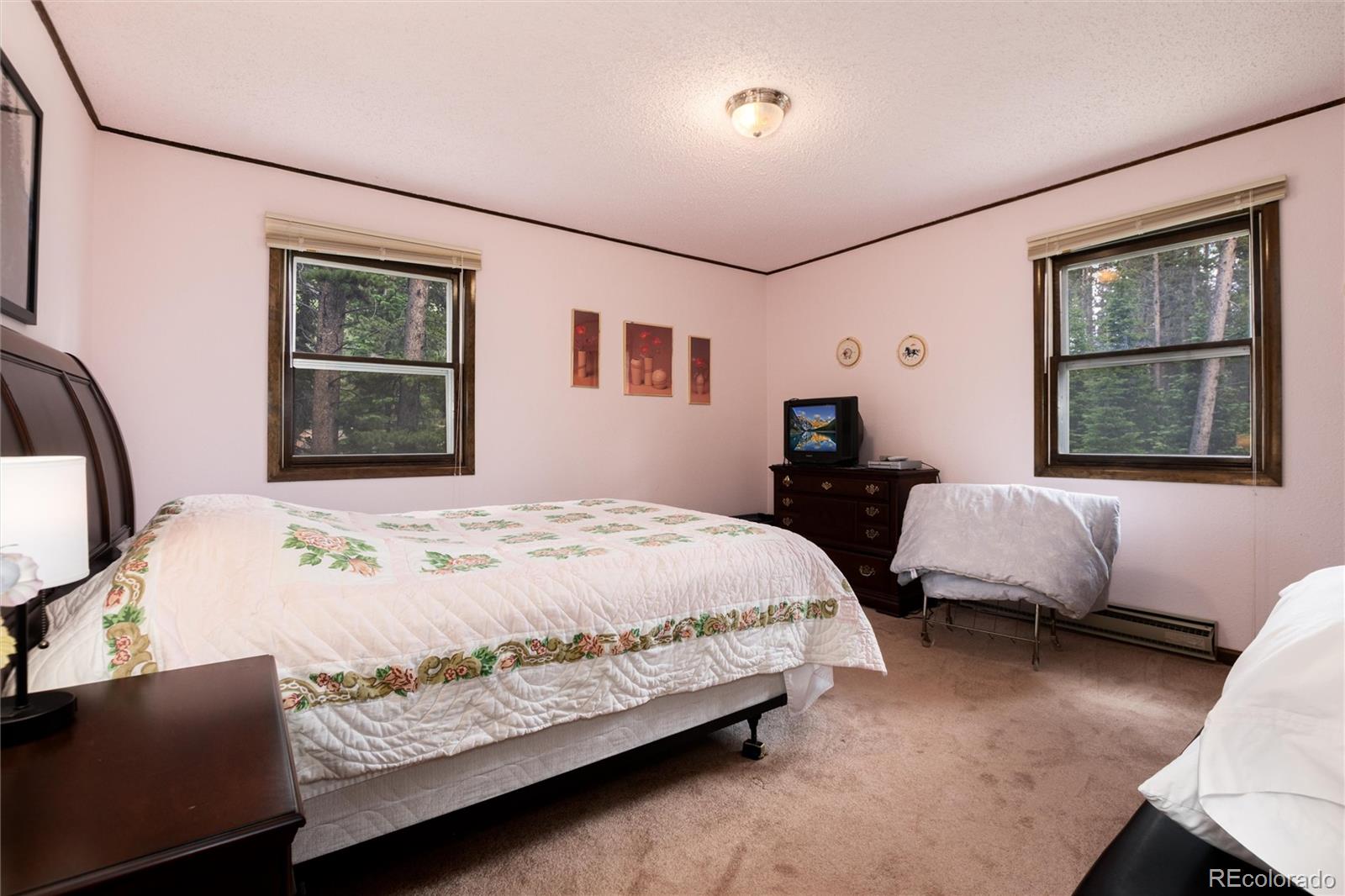 178 Elk Road Idaho Springs, CO 80452 - Photo 9 of 23