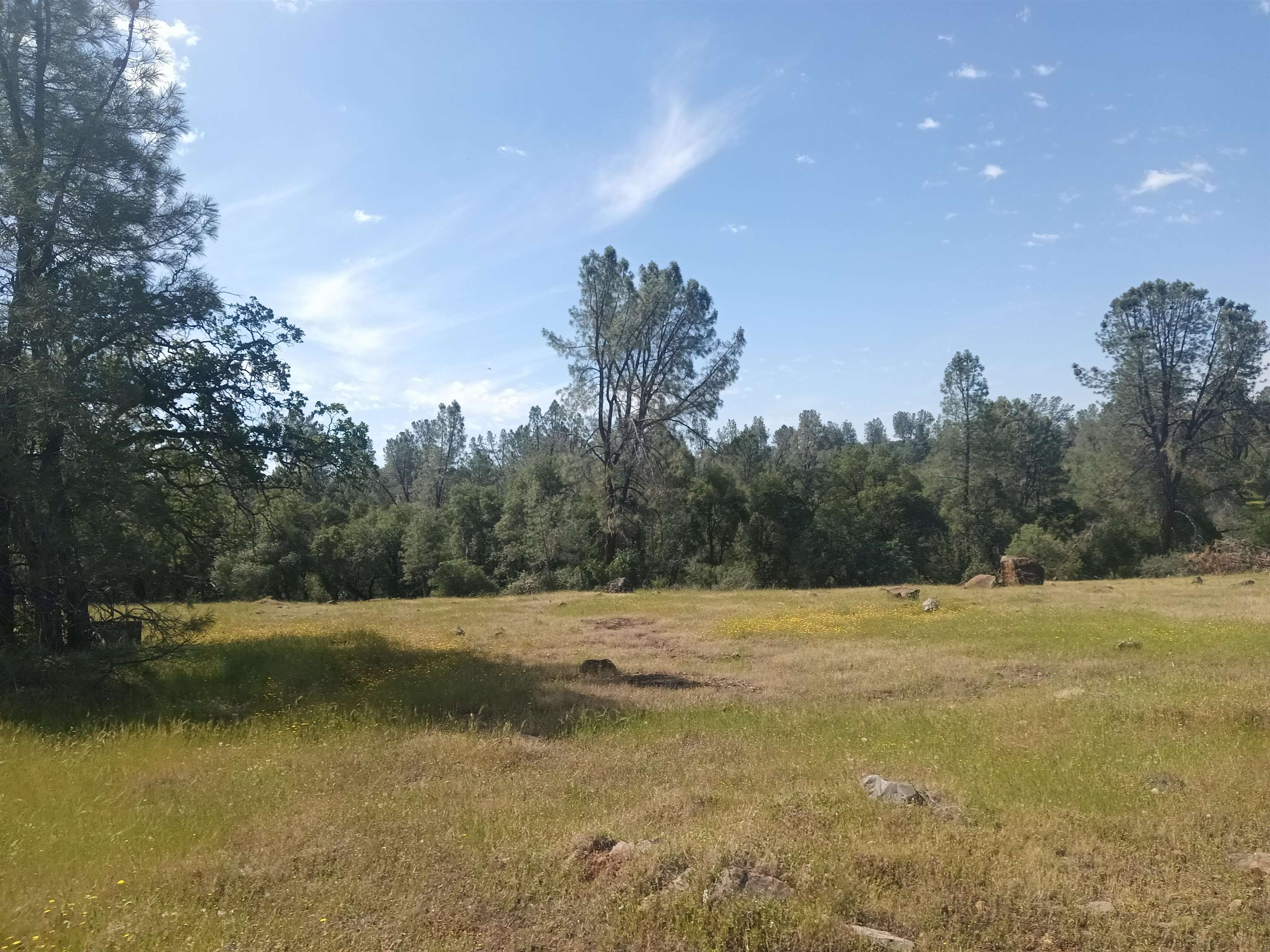 Wildcat Road Shingletown, CA 96088 - Photo 4 of 8 Gallery Image 4