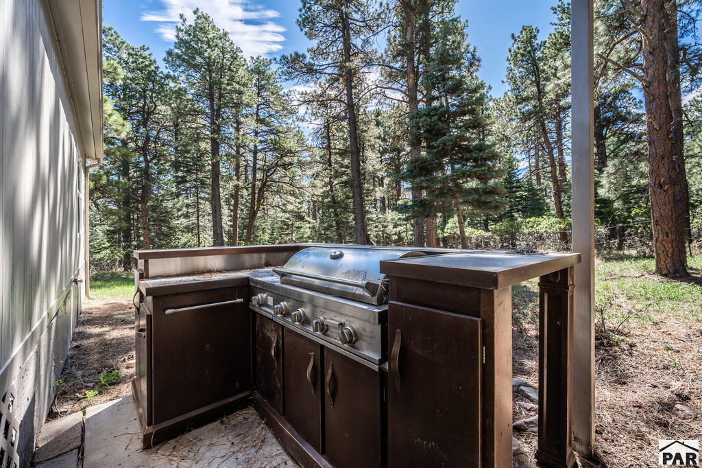 8220 Maple Drive Rye, CO 81069 - Photo 26 of 31 Gallery Image 26
