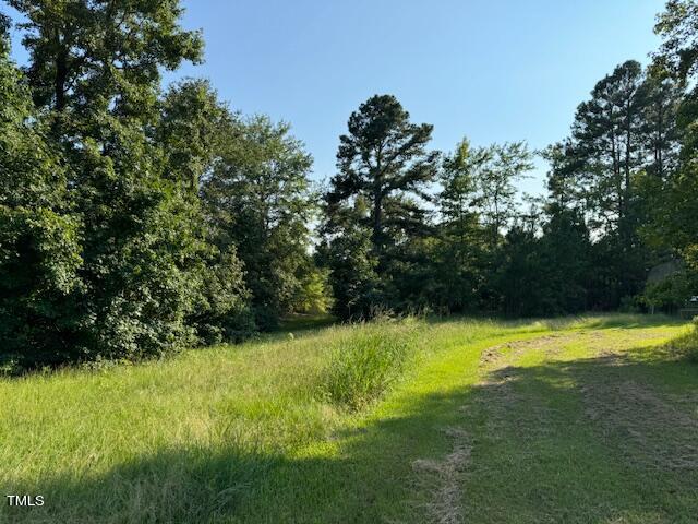 1 Thompson Road Bunnlevel, NC 28323 - Photo 1 of 14 IMG_3775
