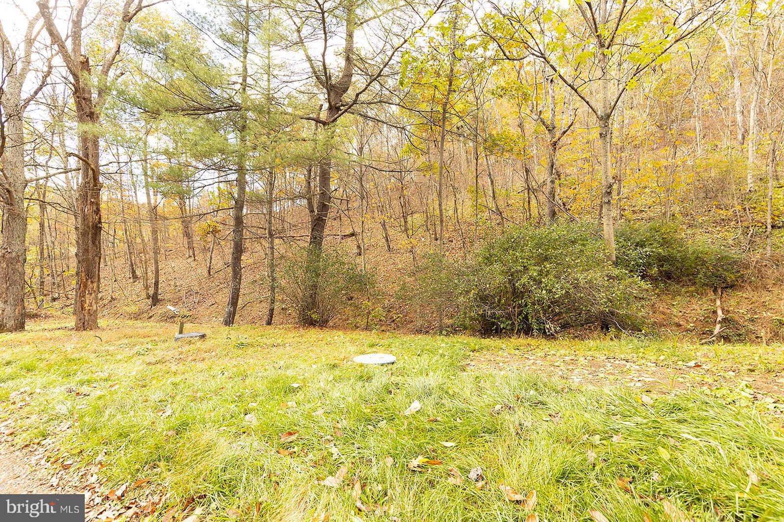 141 Roys Lane Gore, VA 22637 - Photo 10 of 12 Take a walk to the nearby creek