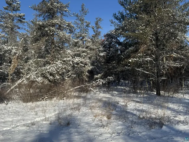 $17,500 | 119-xx East County Road Y, Gordon, WI 54838