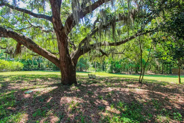 $2,600 | 3494 River Road, Johns Island, SC 29455