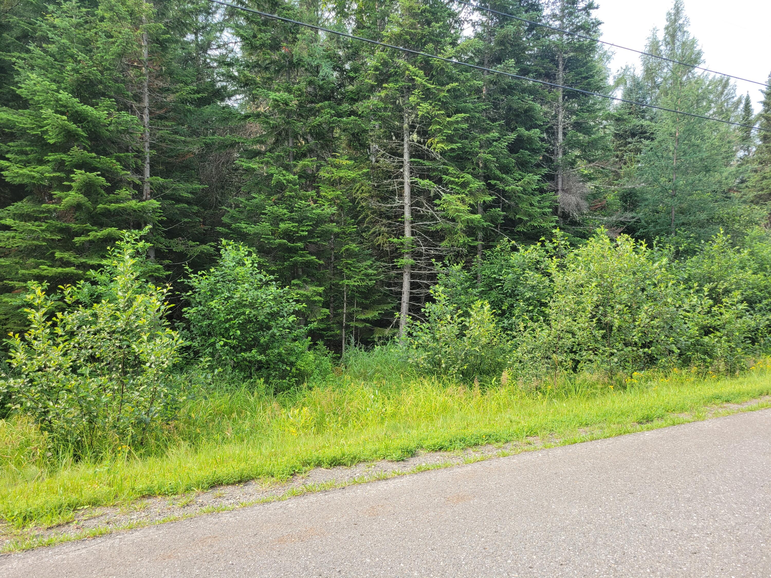 Lot 40 Sheen Road Caribou, ME 04736 - Photo 1 of 6 20230718_094831