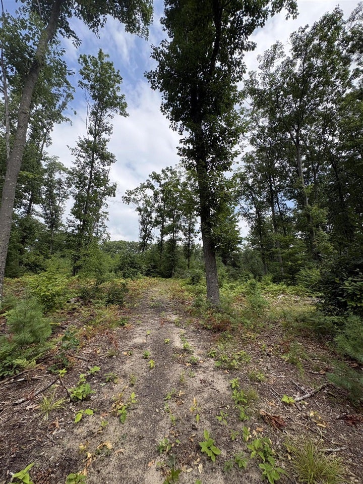 5 5 Mile Road Howard City, MI 49329 - Photo 97 of 99 Gallery Image 97