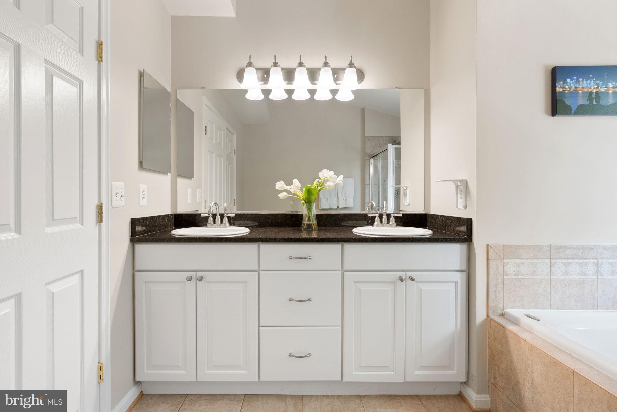527 Rugby Court Purcellville, VA 20132 - Photo 46 of 75 Primary bathroom with 2 sink vanity