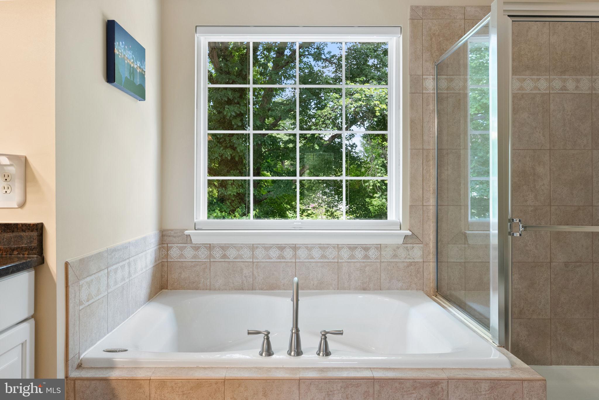 527 Rugby Court Purcellville, VA 20132 - Photo 47 of 75 Soaking tub with picture window