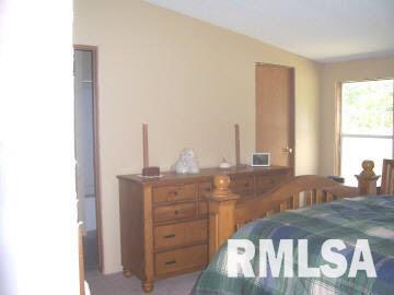 5486 Woodard Road Salem, IL 62881 - Photo 4 of 6