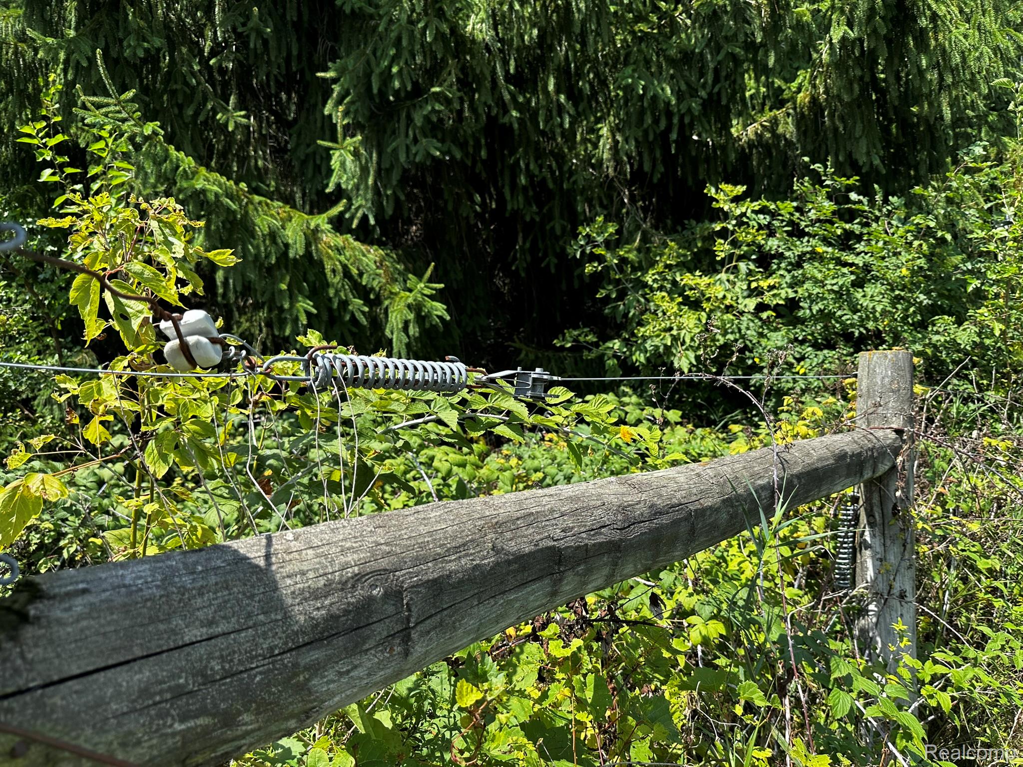 4489 North Oak Road Davison, MI 48423 - Photo 67 of 94 IMG_0596.JPEG