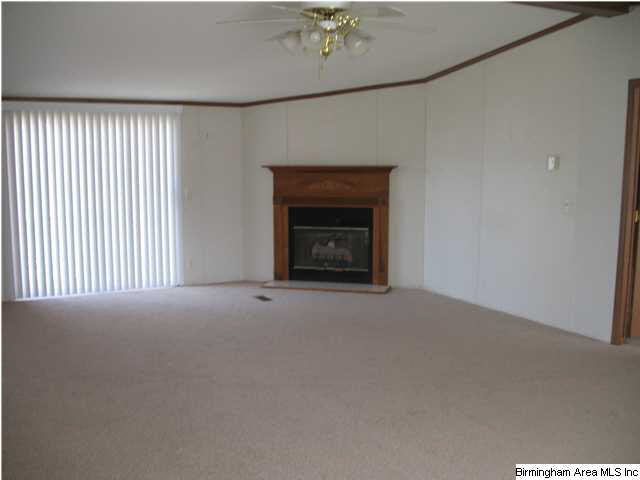 3289 Mt Moriah Road South Pell City, AL 35125 - Photo 4 of 8