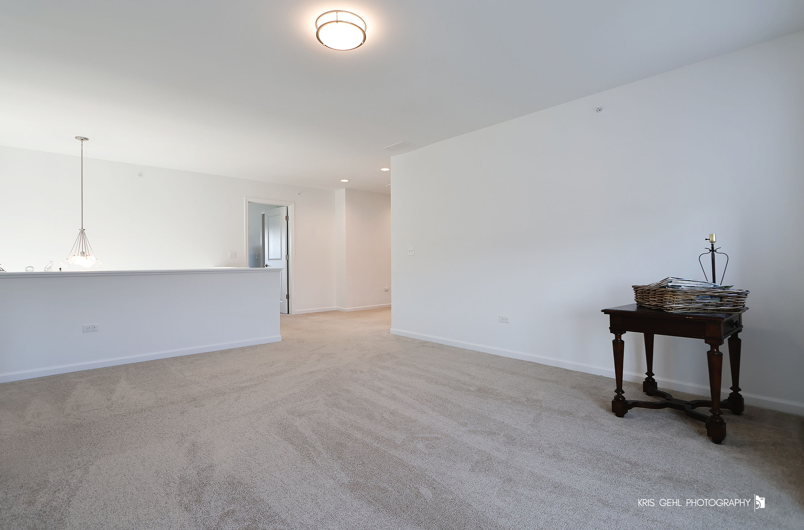 2490 Olivia Court Wauconda, IL 60084 - Photo 12 of 24