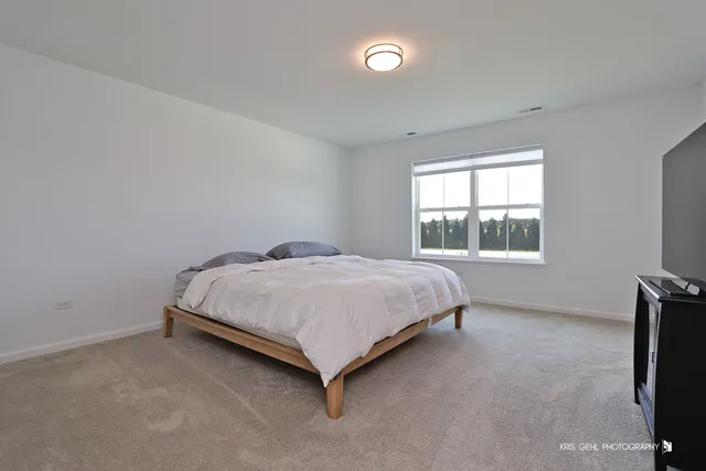 a bed room with a bed and a television