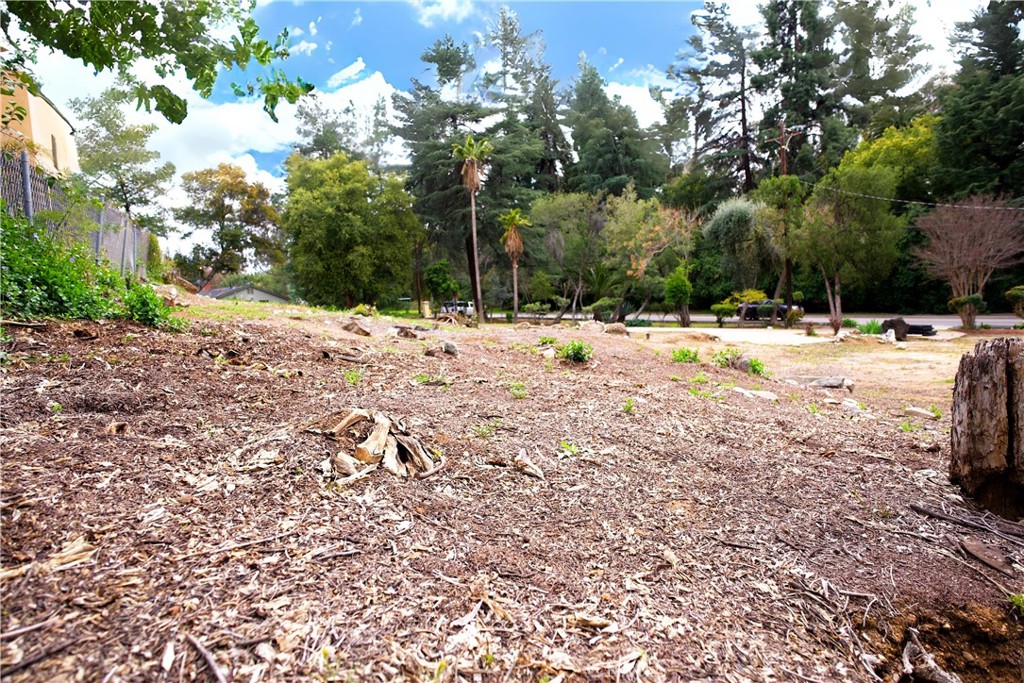 0 Garden Street Redlands, CA 92373 - Photo 5 of 7
