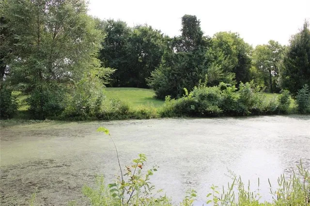 $1,320,000 | 15665 South Moonlight Road, Olathe, KS 66061