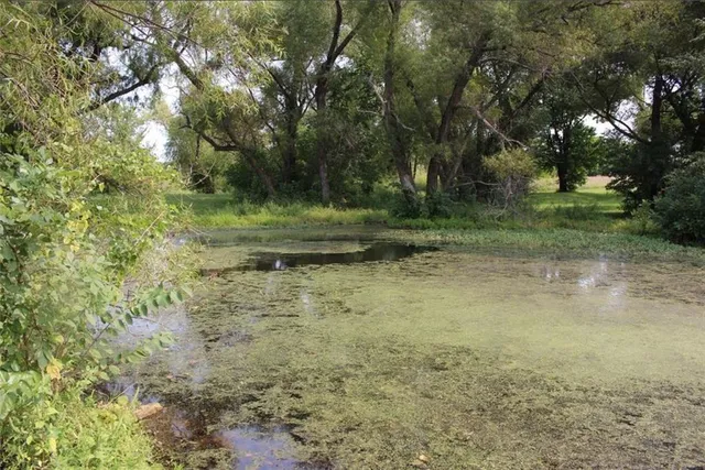 $1,320,000 | 15665 South Moonlight Road, Olathe, KS 66061