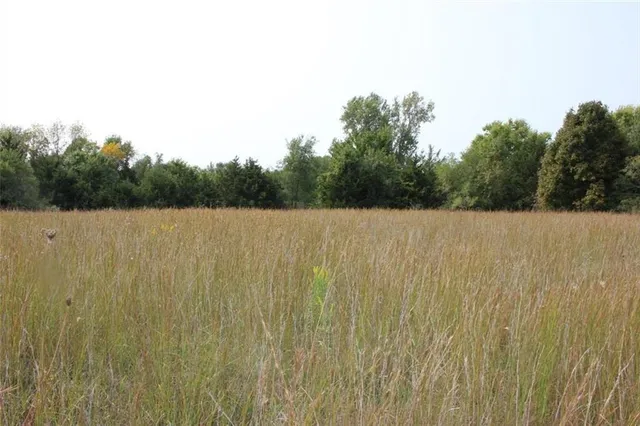 $1,320,000 | 15665 South Moonlight Road, Olathe, KS 66061