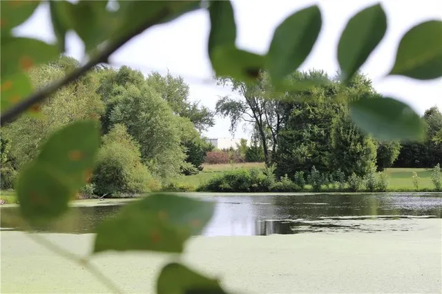 $1,320,000 | 15665 South Moonlight Road, Olathe, KS 66061