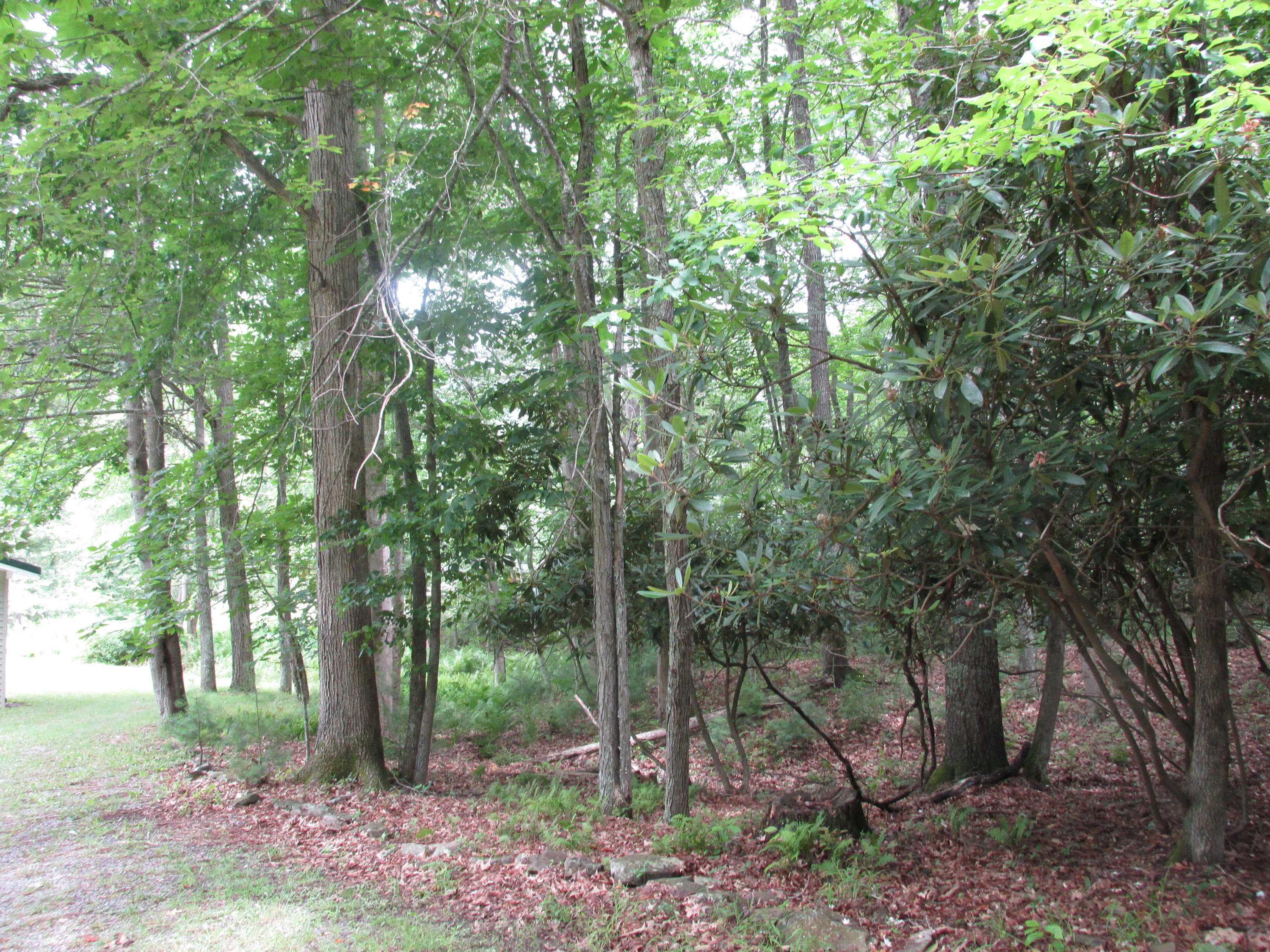 749 Pyles Road Hillsboro, WV 24946 - Photo 17 of 23 Gallery Image 17
