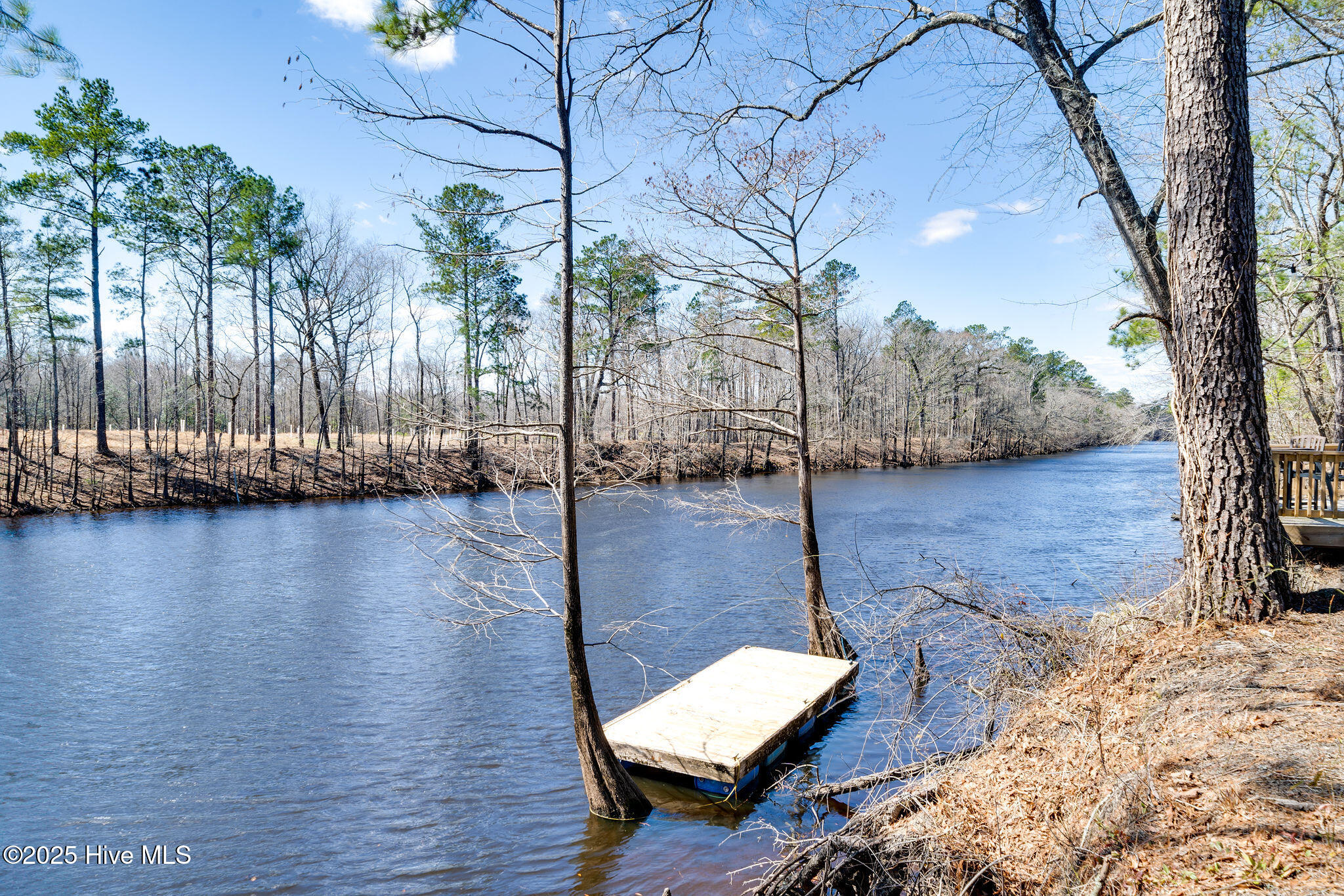 616 River Birch Road Burgaw, NC 28425 - Photo 26 of 29 616riverbirch26