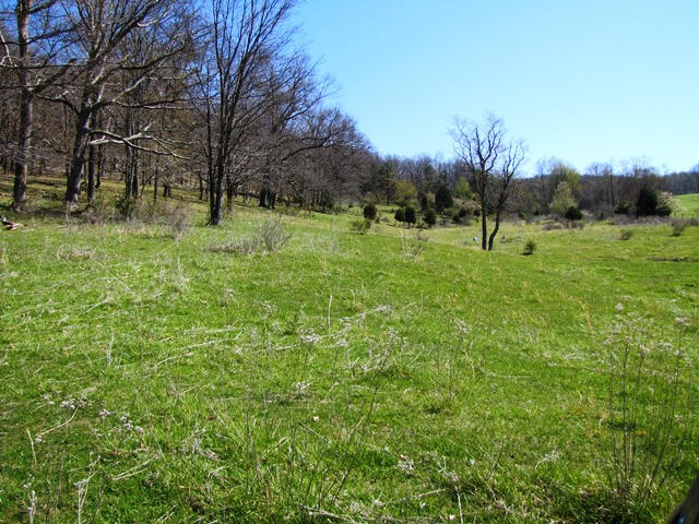 2091 Pete Amos Road Lindside, WV 24951 - Photo 47 of 54 Gallery Image 47