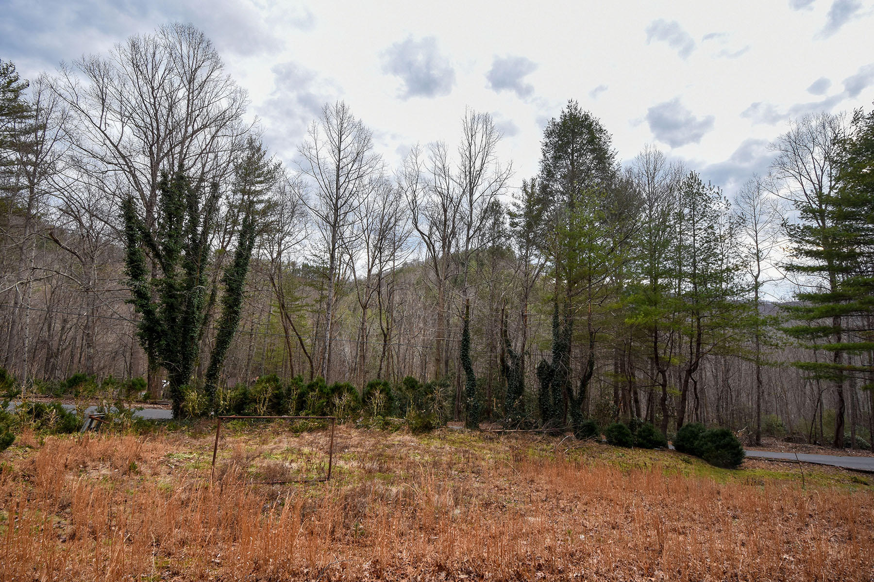 155 Dye Leaf Road Butler, TN 37640 - Photo 1 of 16 155 Dye Leaf Rd