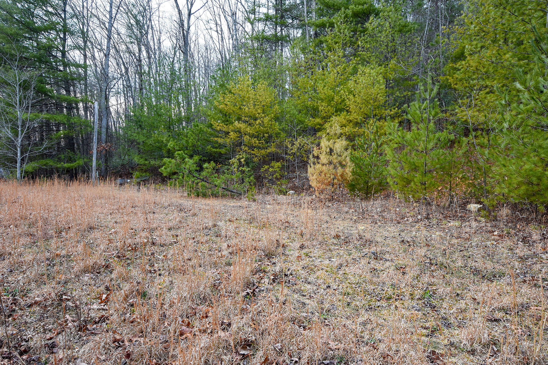 155 Dye Leaf Road Butler, TN 37640 - Photo 13 of 16 5915b
