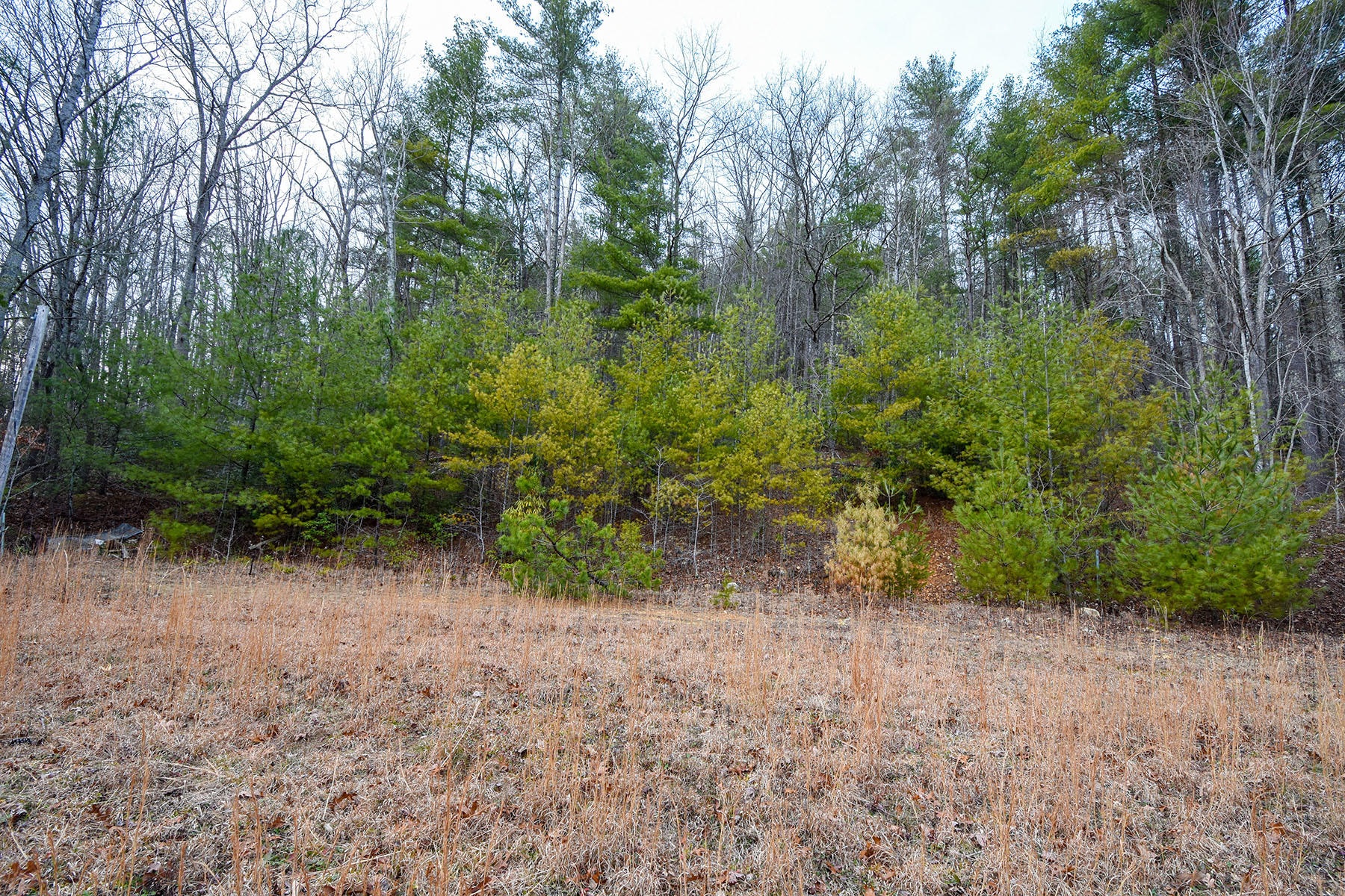155 Dye Leaf Road Butler, TN 37640 - Photo 14 of 16 5918b