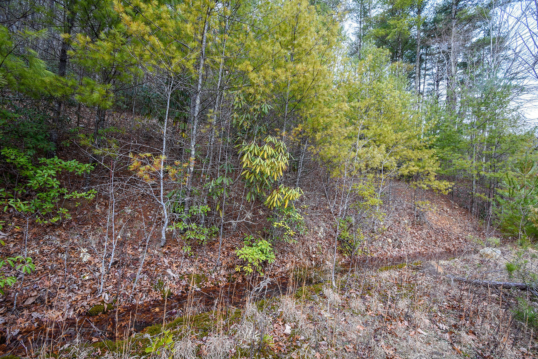 155 Dye Leaf Road Butler, TN 37640 - Photo 15 of 16 5921b