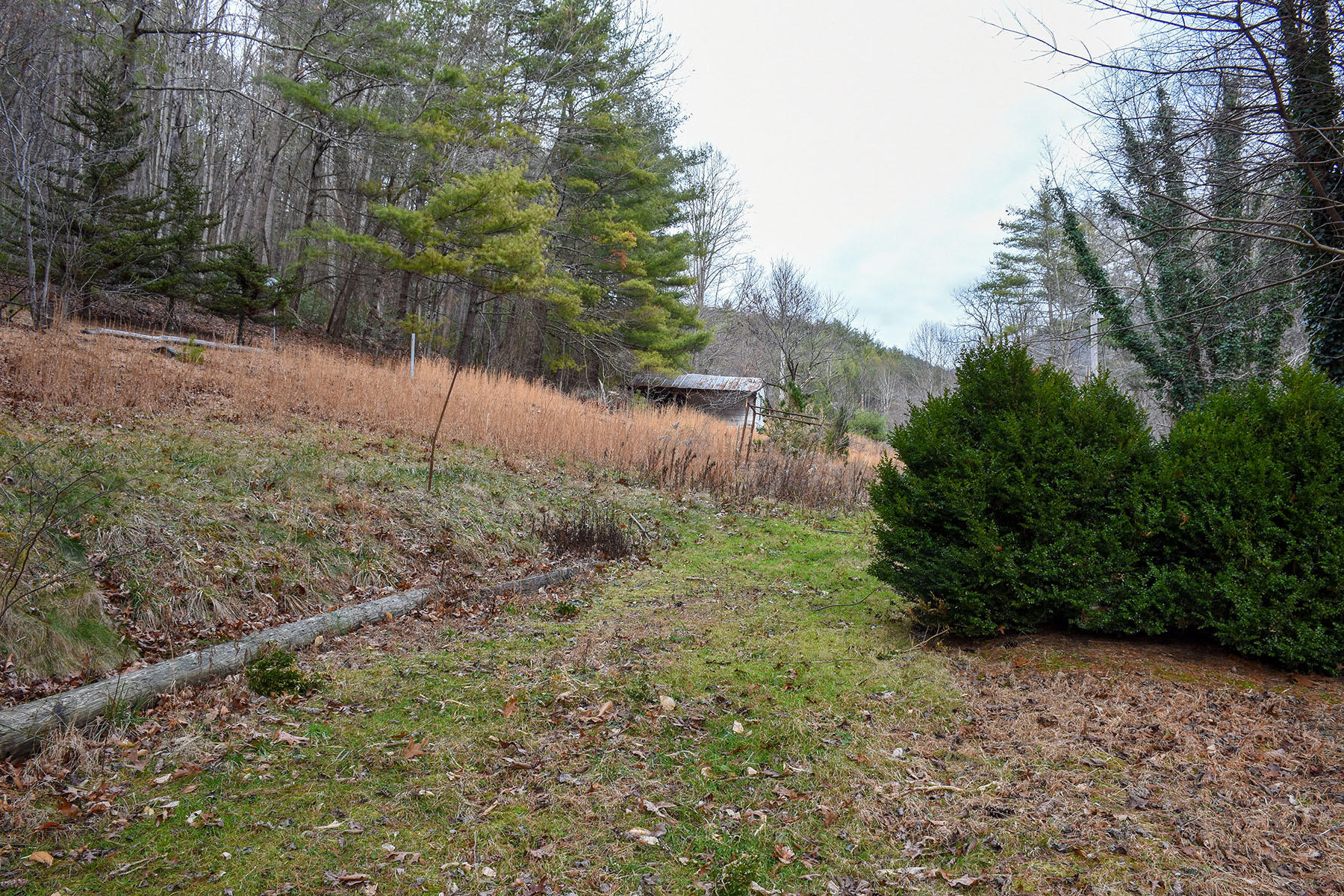 155 Dye Leaf Road Butler, TN 37640 - Photo 3 of 16 5872b
