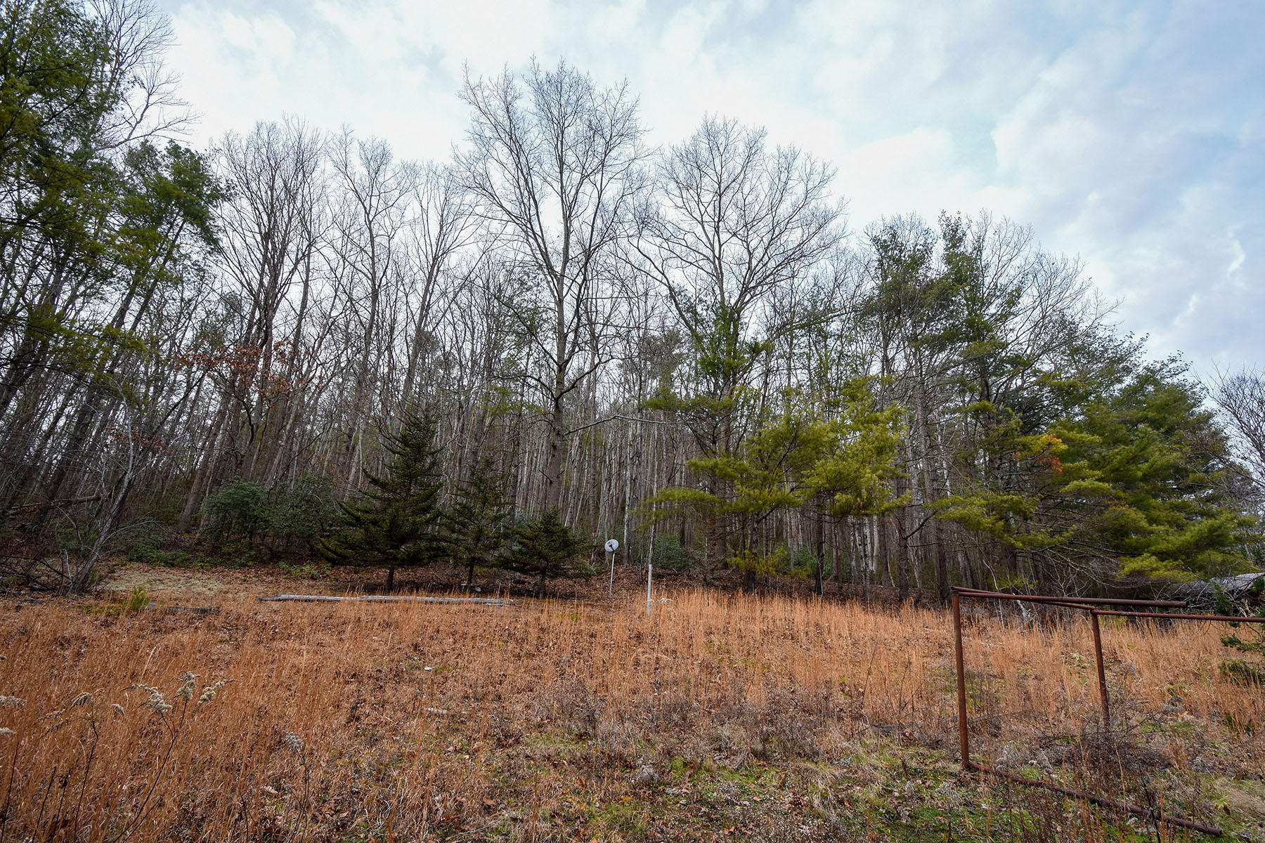 155 Dye Leaf Road Butler, TN 37640 - Photo 4 of 16 5877b