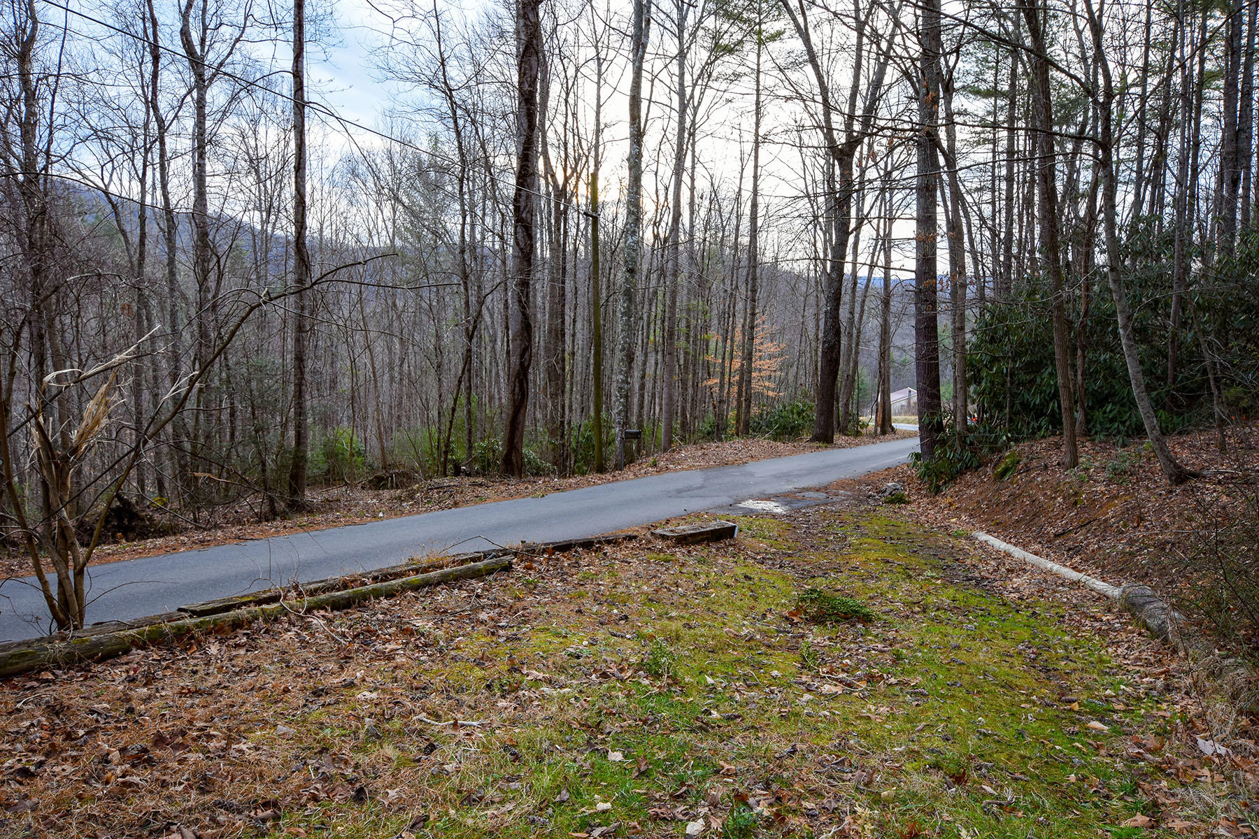 155 Dye Leaf Road Butler, TN 37640 - Photo 6 of 16 5890b