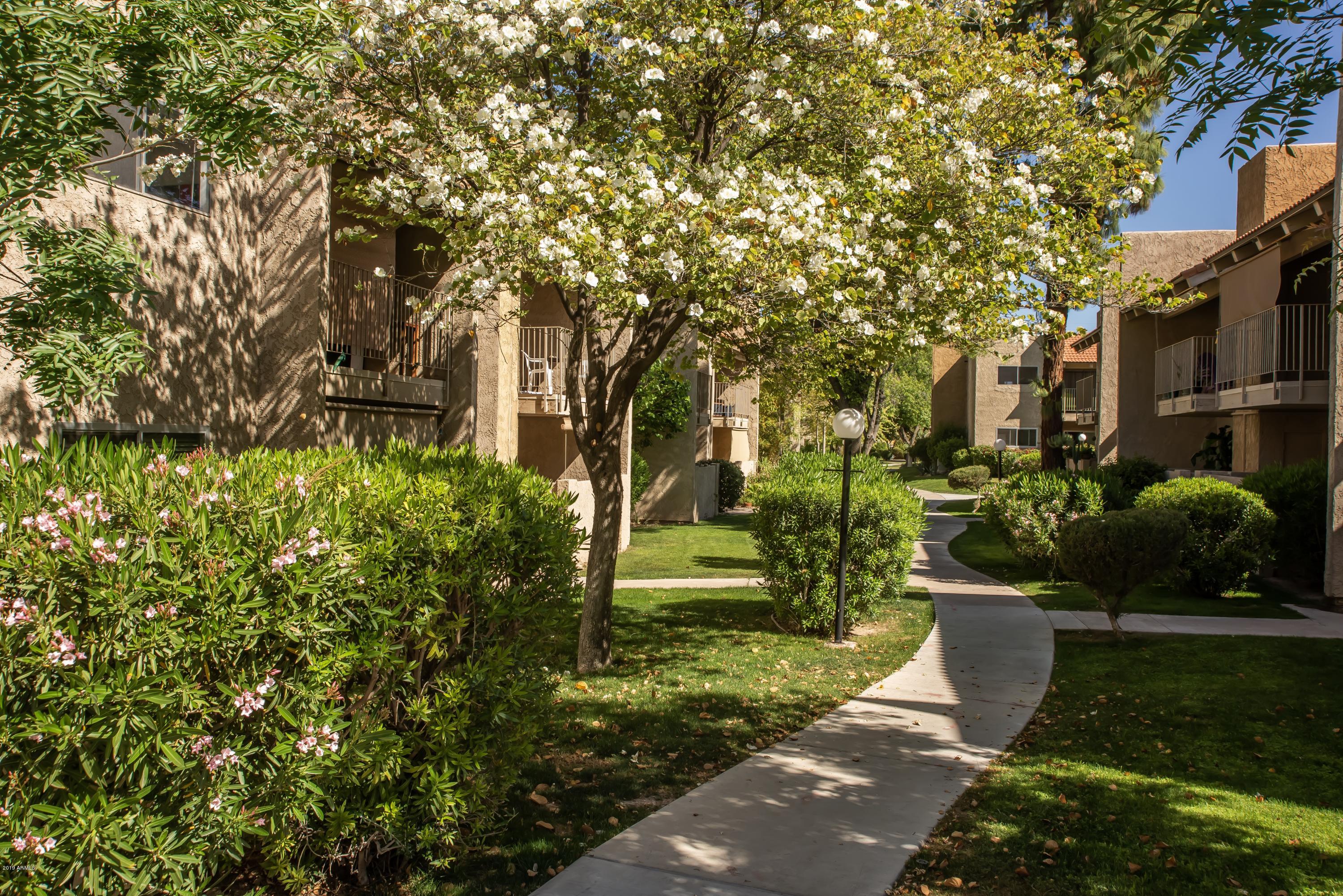 5525 East Thomas Road, Unit R8 Phoenix, AZ 85018 - Photo 17 of 20 Community