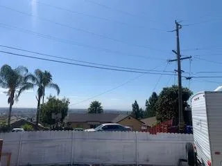 a palm tree sitting in front of a house