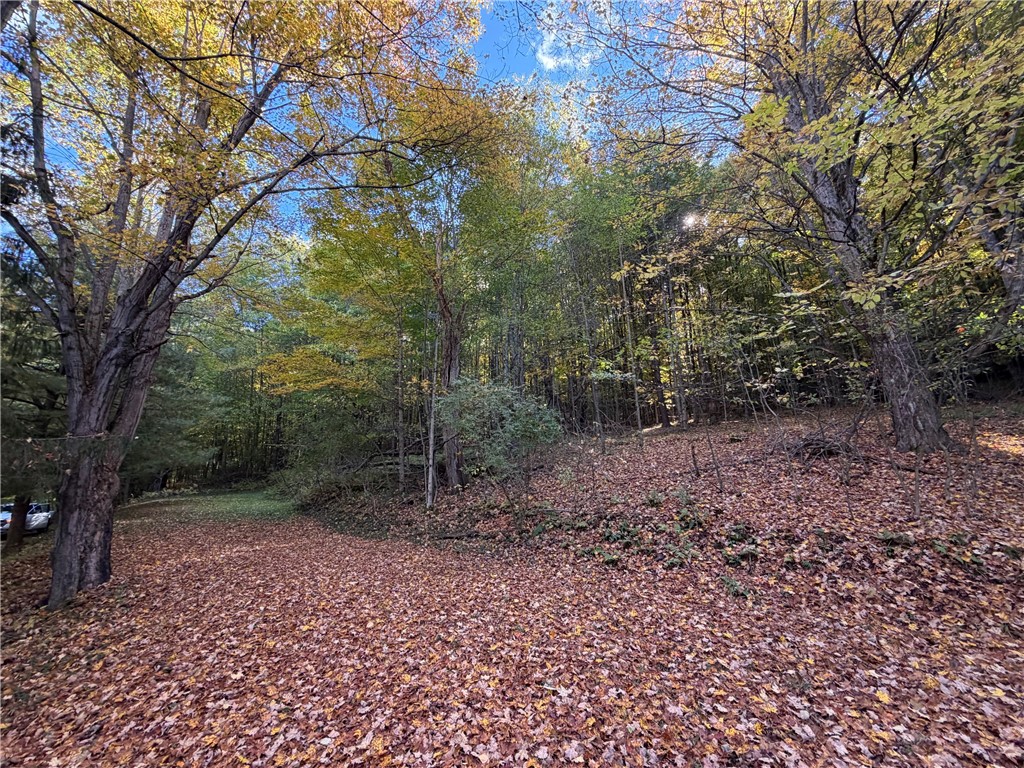 9319 Nouvou Road Genesee, NY 14770 - Photo 40 of 50 Gallery Image 40