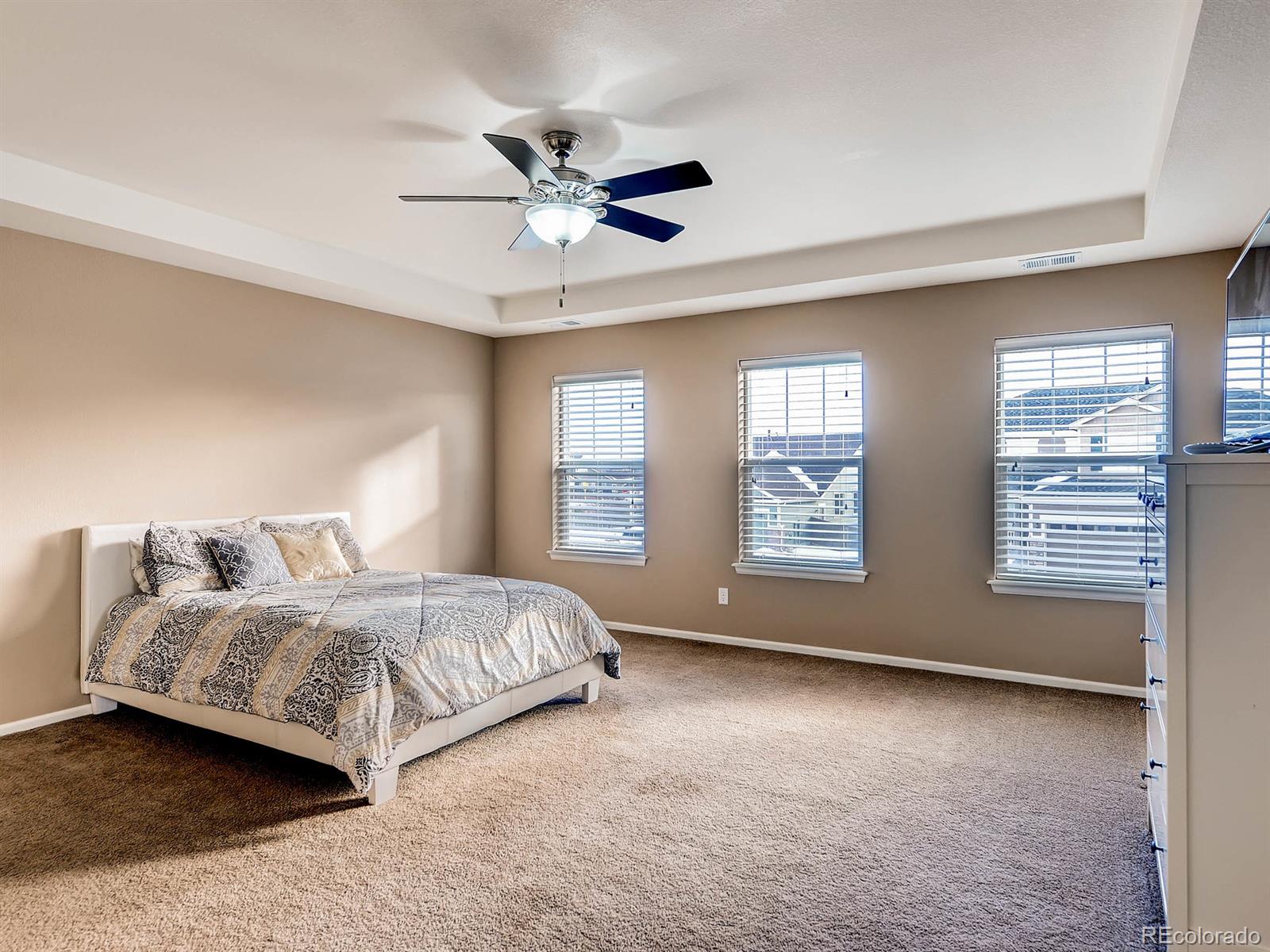 714 Springvale Road Castle Rock, CO 80104 - Photo 15 of 28 a living room with a bed furniture and a window