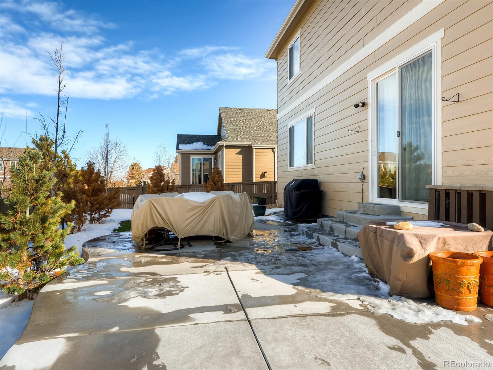714 Springvale Road Castle Rock, CO 80104 - Photo 25 of 28 a living room with a couch and a fireplace