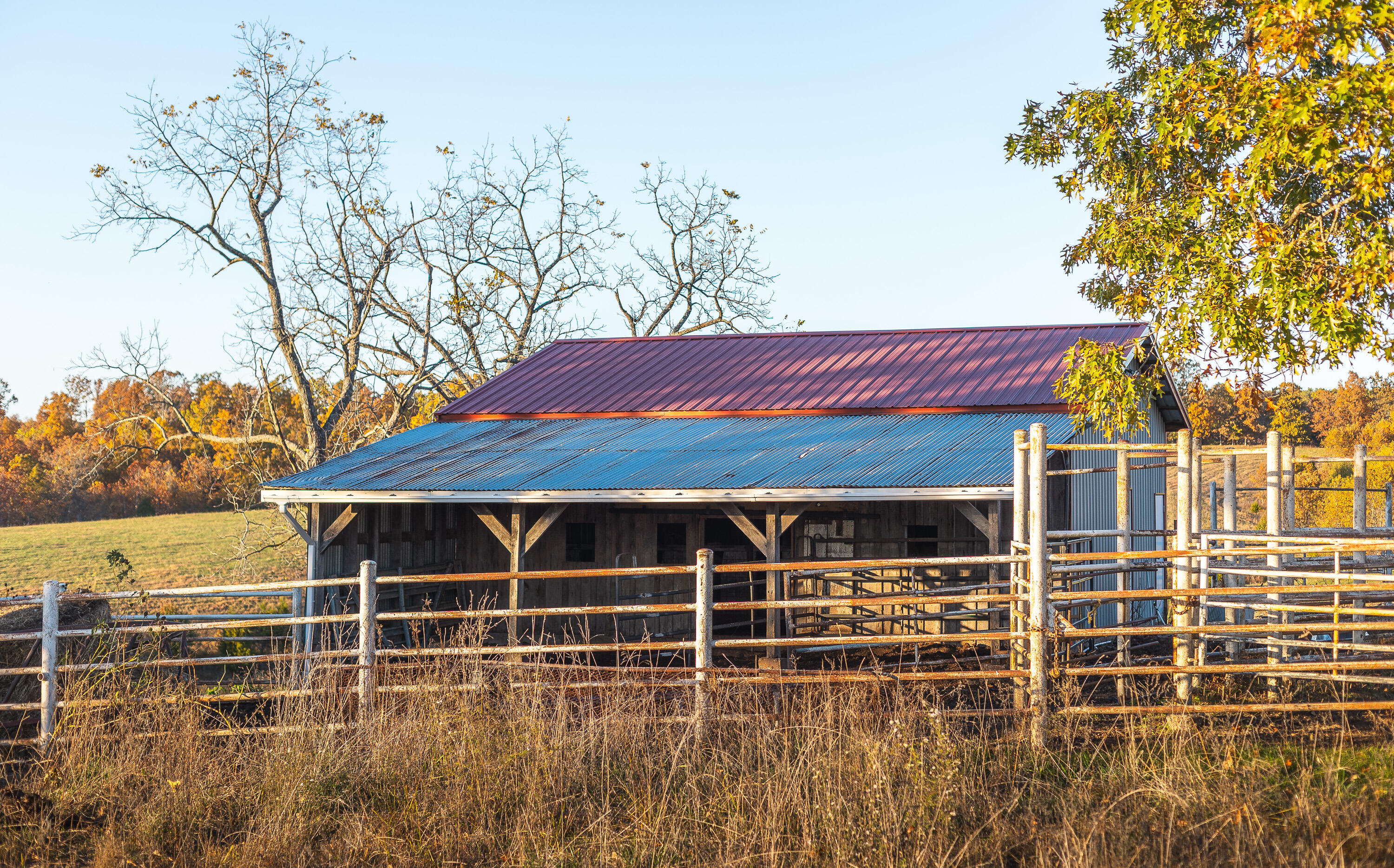 6601 County Line Road Graff, MO 65660 - Photo 33 of 60 HF7A9818