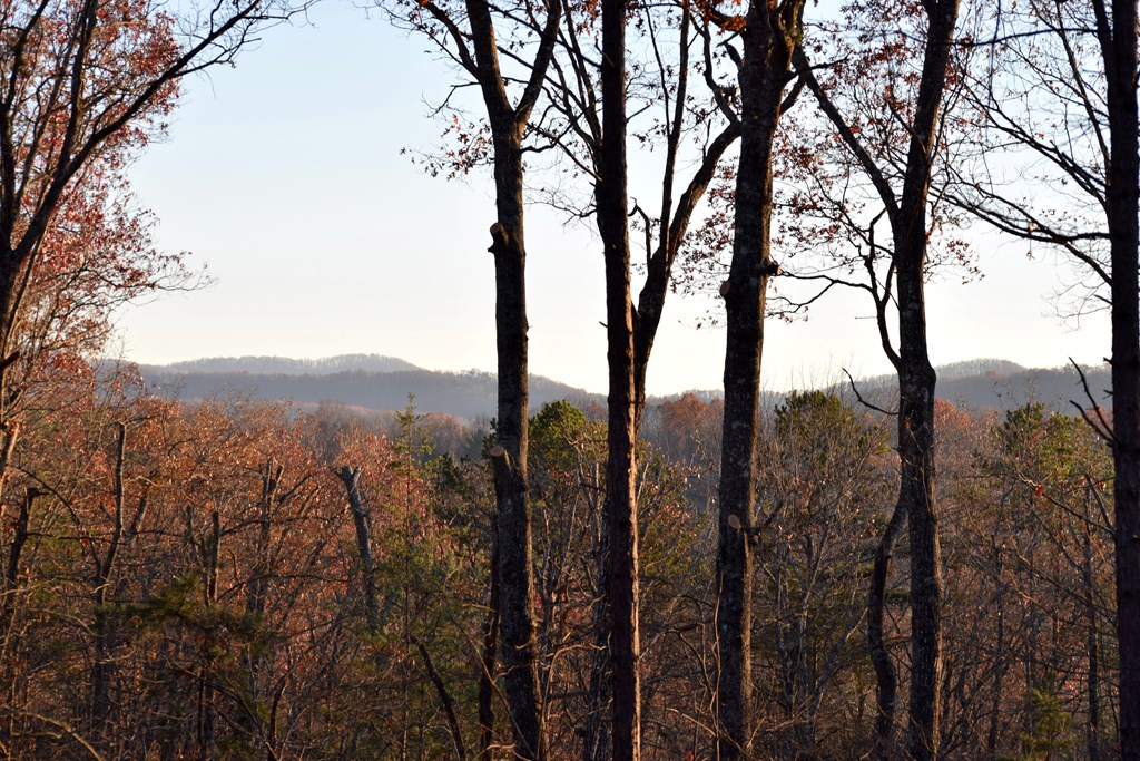 322 Ridge Brook Drive Morganton, GA 30560 - Photo 5 of 48 Gallery Image 5